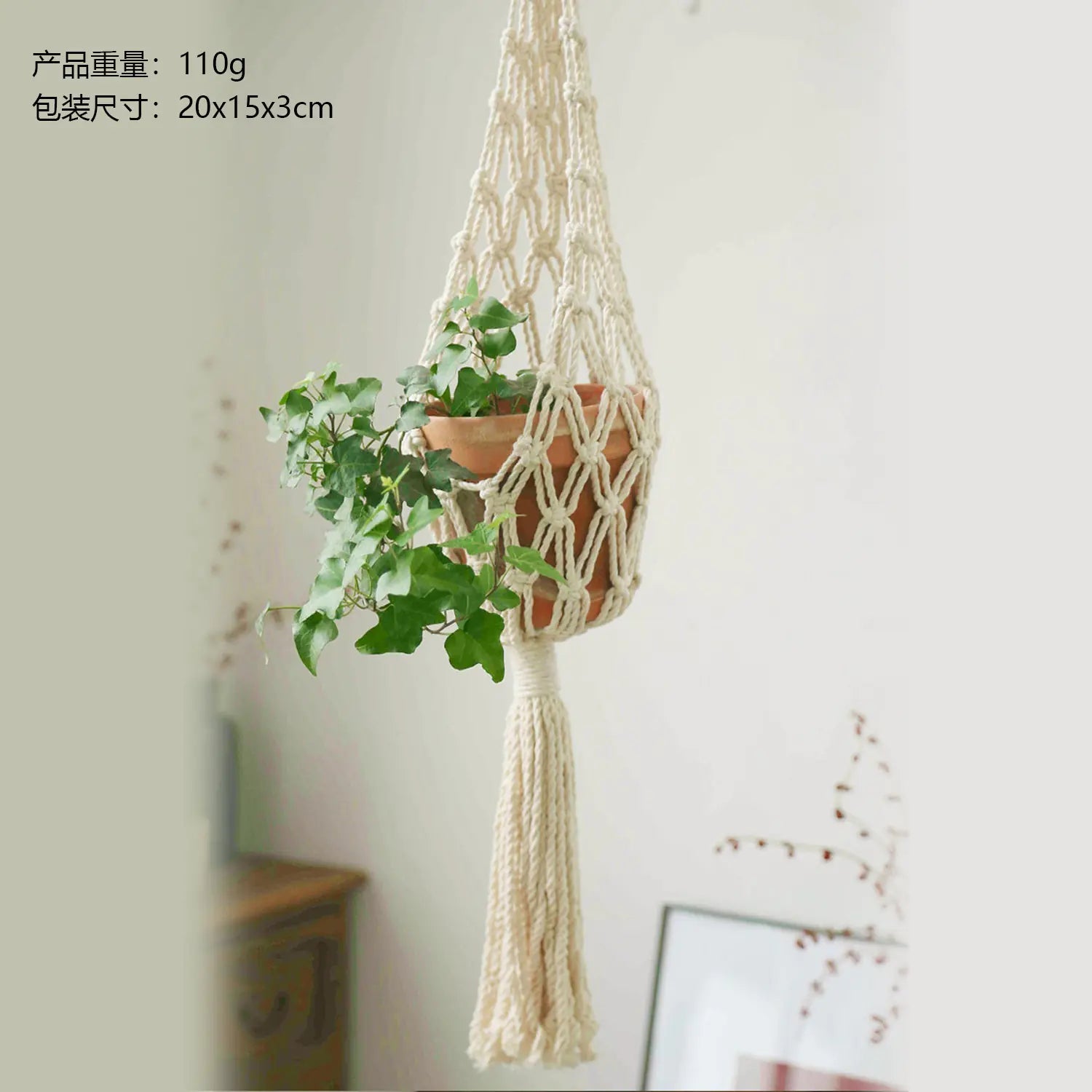 Scandinavian Boho Rope Plant Holders - Austin Eleven