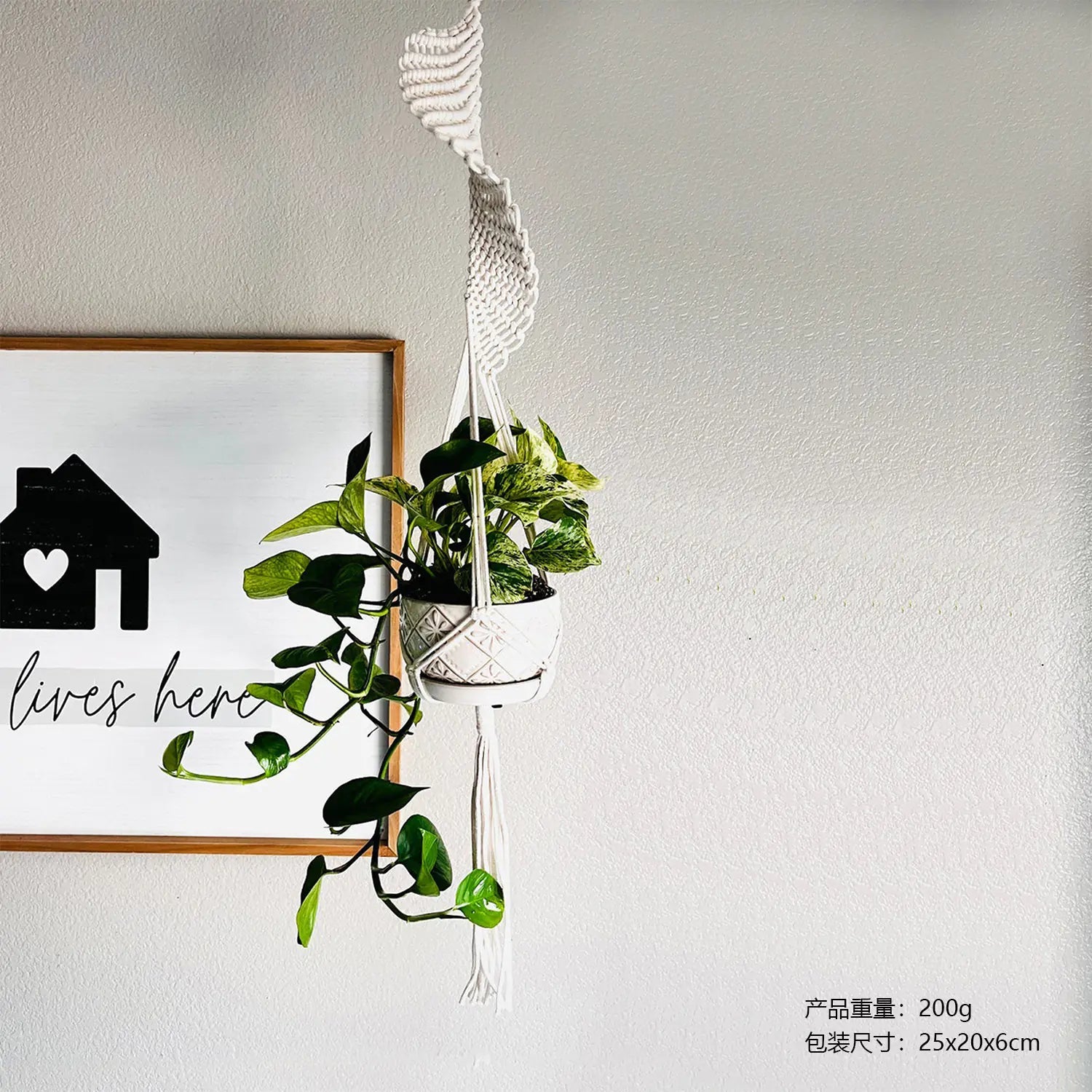 Scandinavian Boho Rope Plant Holders - Austin Eleven