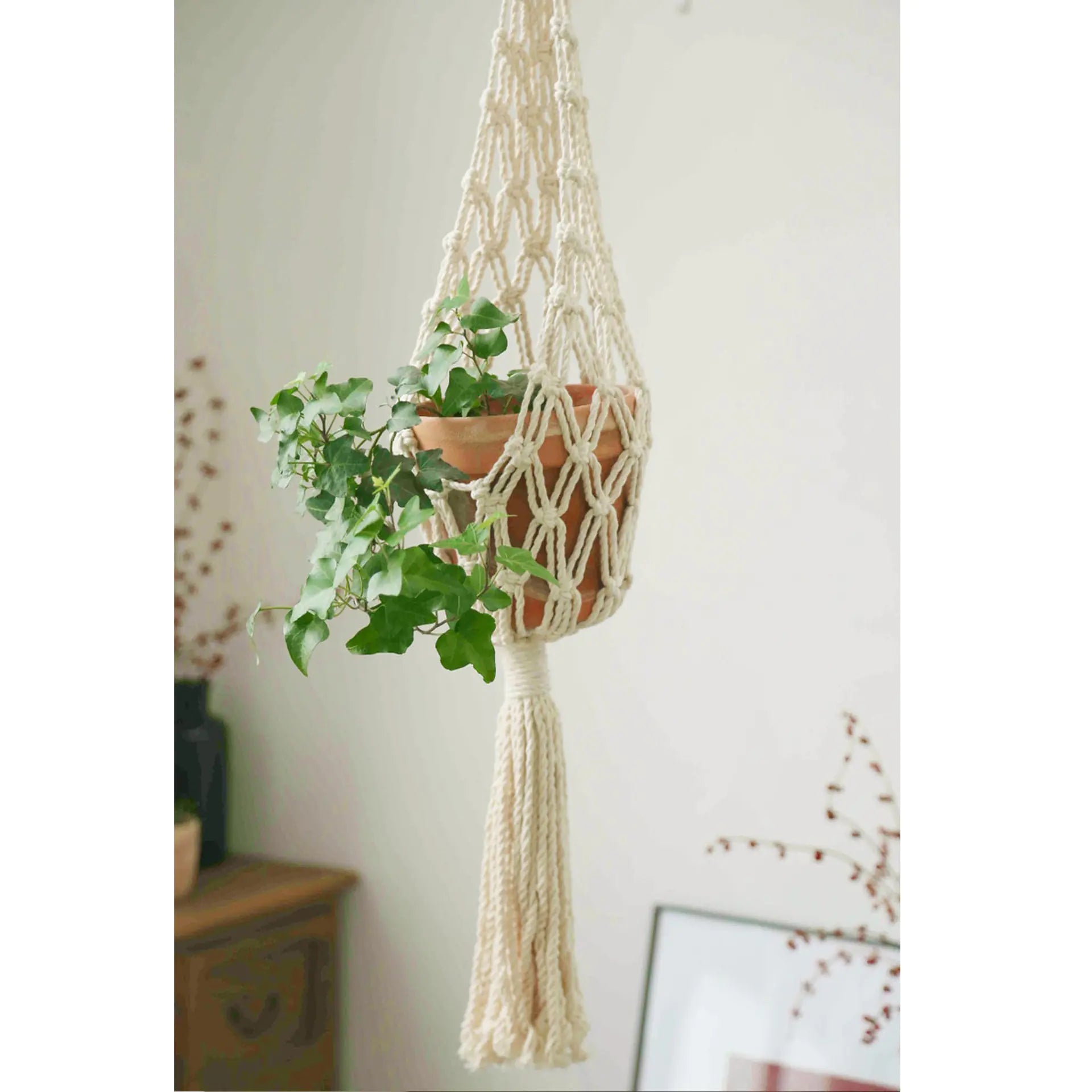 Scandinavian Boho Rope Plant Holders - Austin Eleven